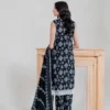 Shanaya [Ikkat] - Image 3